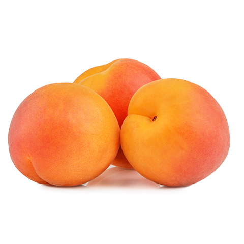 https://starranch.com/wp-content/uploads/2019/04/Apricots.jpg