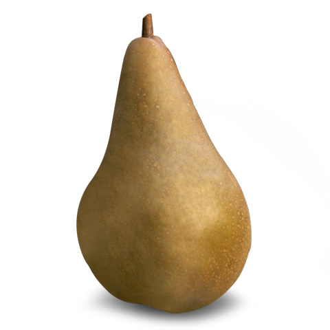 Bosc Pears - Organic Bosc Pears - Washington Pear Growers