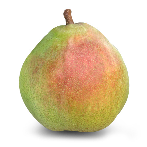 Comice Pears - Washington Comice Pear Growers - Washington Fruit