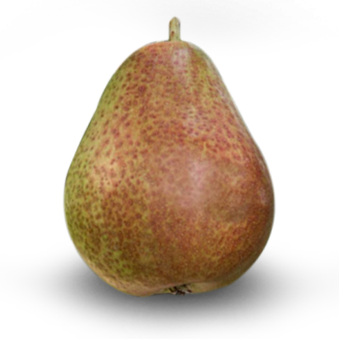 Organic Golden State Pears to Compare Deluxe Fruit Gift - RB1001