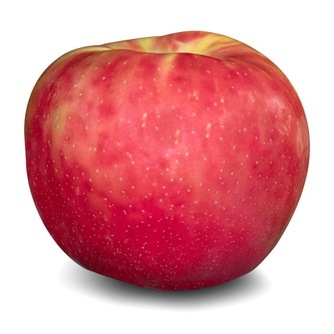 https://starranch.com/wp-content/uploads/2019/04/Honeycrisp.jpg