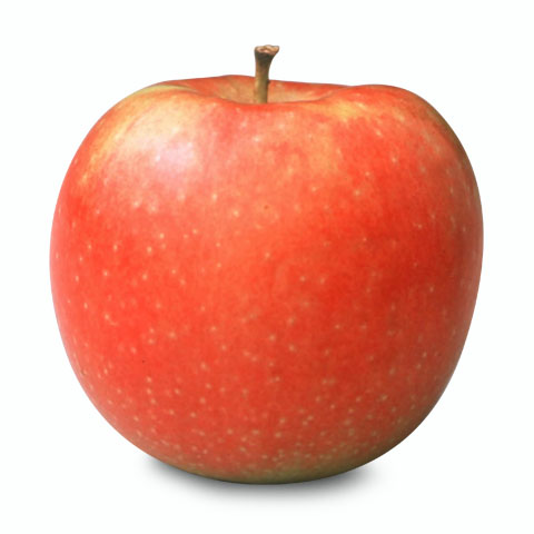 Rainier Organic Fuji apple Reviews